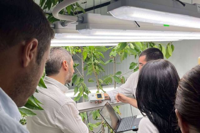 ¿En qué consiste el cultivo vertical y confinado? - 1, Foto 1