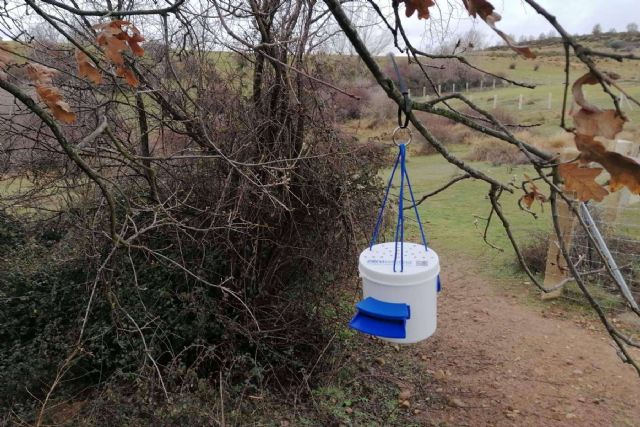 La solución innovadora de ZeroVelutina para combatir a las avispas velutinas en España - 1, Foto 1