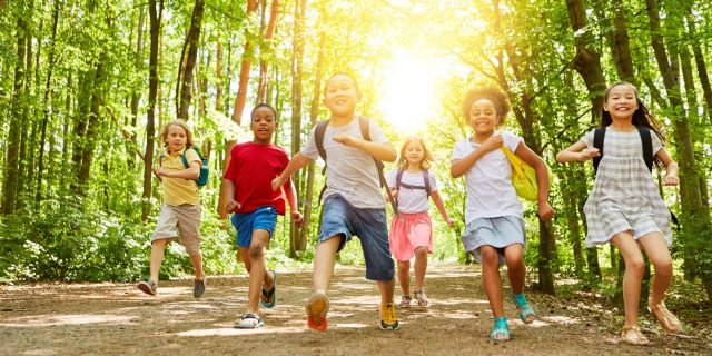 Por qué los campamentos de verano son experiencias recreativas y educativas - 1, Foto 1