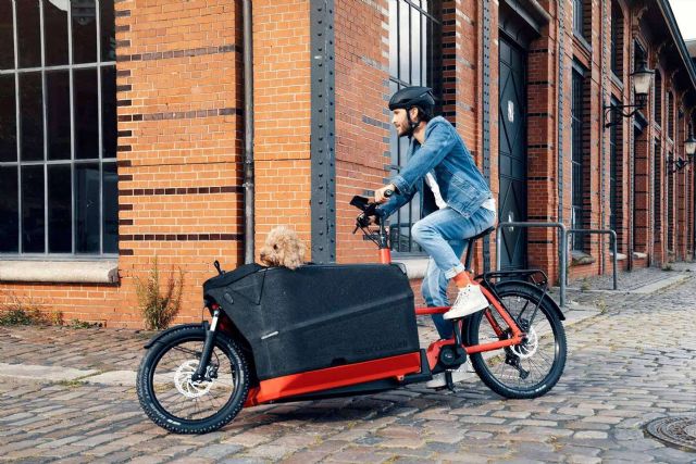 Ventajas de usar una Bicicleta Cargo Bike eléctrica en la ciudad - 1, Foto 1