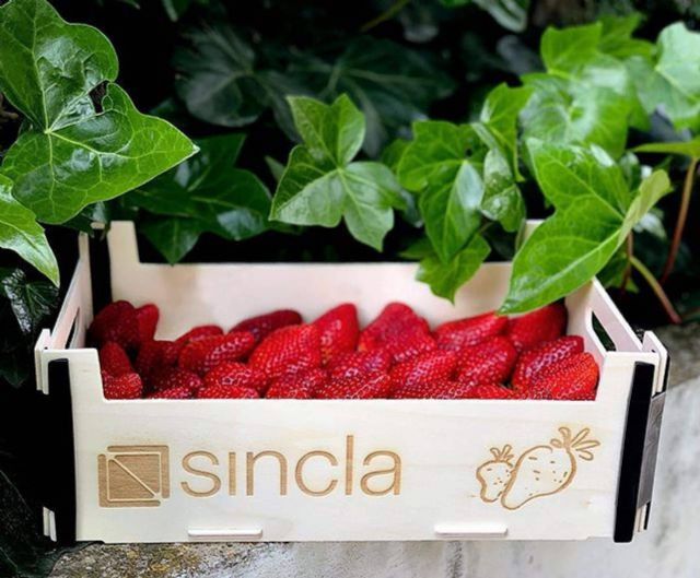 Sincla destaca en diseño y calidad con sus cajas de madera para fruta y verdura - 1, Foto 1