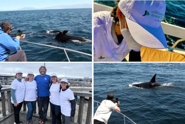 La Fundación Jiménez Díaz, a la vanguardia de la investigación aplicada a la conservación marina y la salud pública - 1, Foto 1