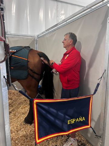 Dos veterinarios del colegio de Madrid se encargan de asegurar el perfecto estado de los caballos durante los JuegosOlímpicos de París - 1, Foto 1