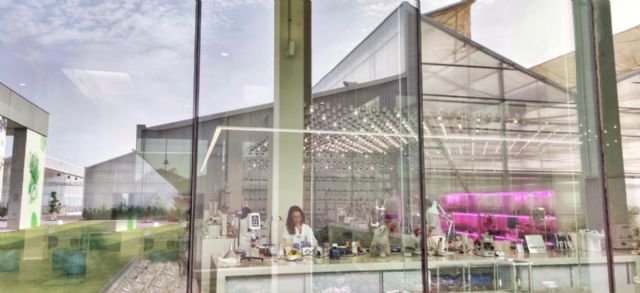 El centro de biotecnología MAAVi desvela cómo el pelo porcino puede cambiar la forma de cuidar el cabello - 1, Foto 1