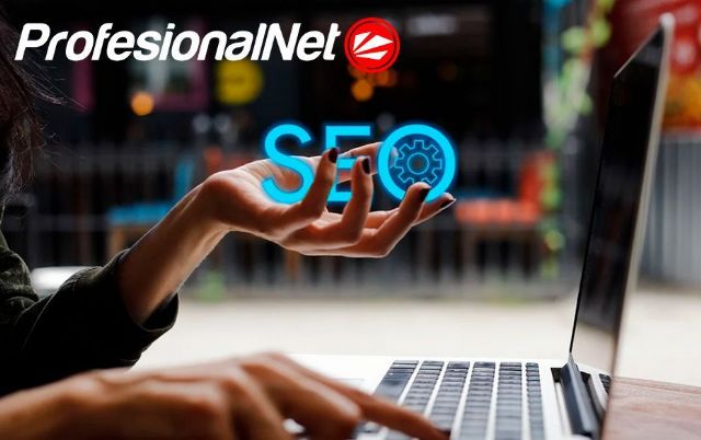 SEO y desarrollo web para empresas, por ProfesionalNet - 1, Foto 1
