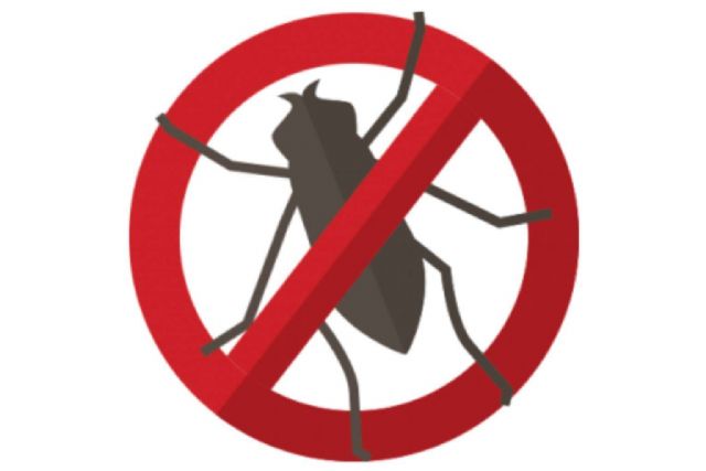 Exterminio de cucaracha de las cocinas con precio cerrado en Málaga, de la mano de DMR Control de Plagas - 1, Foto 1