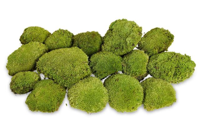 Musgos Retardantes de Llama de Verdissimo; La era de la decoración más segura - 1, Foto 1