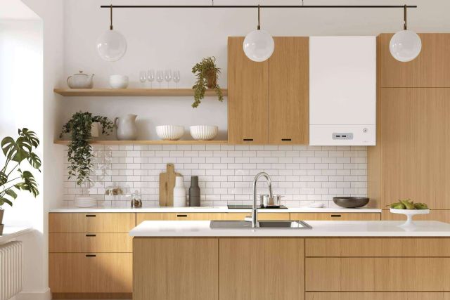 Calderas eléctricas para calefacción y agua caliente, la alternativa para sustituir calderas de gas, gasoil o pellets - 1, Foto 1