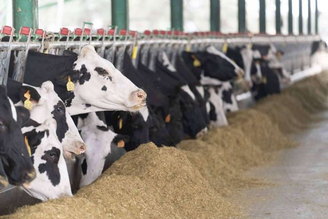 GO AQUAFARM entra en su etapa final; Hacia una gestión hídrica más sostenible en el sector ganadero - 1, Foto 1