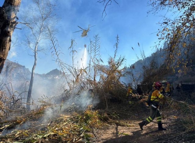 Doble incendio en las márgenes del rio Segura, en Abarán - 1, Foto 1