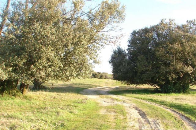 Senderos de Silencio; Una consultora de talento diferente - 1, Foto 1