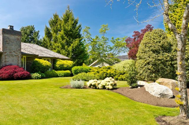 La guía definitiva para mantener el jardín bonito sin esfuerzo - 1, Foto 1