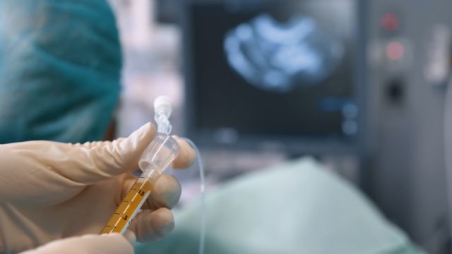 Equipo Juana Crespo y su innovador tratamiento que mejora la calidad ovular y la implantación embrionaria - 1, Foto 1