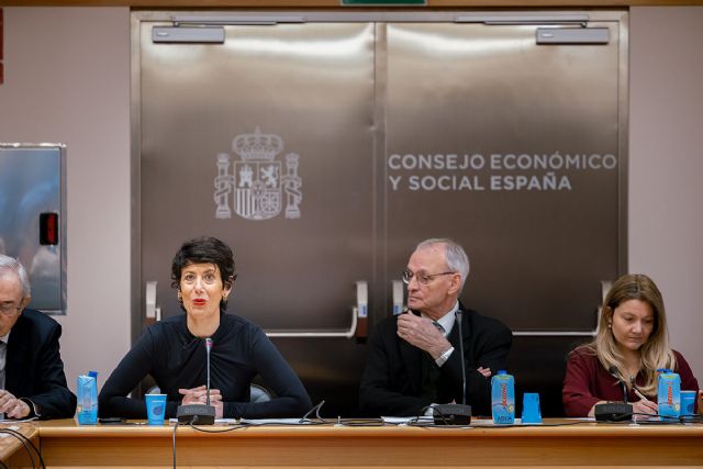 Elma Saiz solicita al Consejo Económico y Social un informe específico sobre migración para avanzar hacia una política migratoria regular y segura - 1, Foto 1