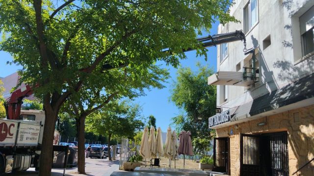 Top Courier impulsa la eficiencia en proyectos con su avanzada flota de camiones grúa - 1, Foto 1