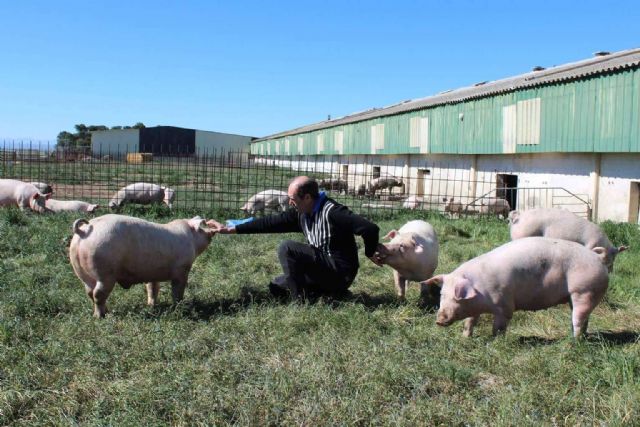 ¿Por qué es importante apoyar a los productores locales? - 1, Foto 1