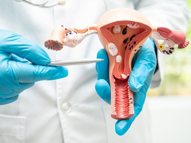 Dr. Juan Céspedes, ginecólogo de Policlínica Gipuzkoa: La detección precoz del cáncer ginecológico permite tratamientos menos agresivos y mejora la supervivencia de las pacientes - 1, Foto 1