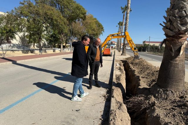 Mula avanza en la instalación de luminaria LED en la Avenida de la Paz - 1, Foto 1