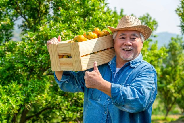 El Amazon de los Agricultores; JGCmarket Revoluciona el comercio justo y de proximidad - 1, Foto 1