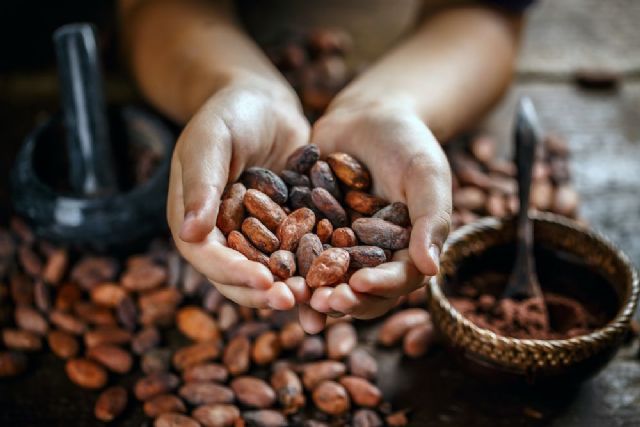 La empresa Areté apunta a una alta volatilidad en el sector agroalimentario con precios récord en café, cacao y aceite de coco - 1, Foto 1