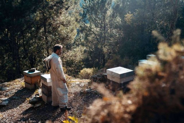 Maruxiña Cosmética reinventa la belleza natural con ingredientes en base a sus propias abejas - 1, Foto 1