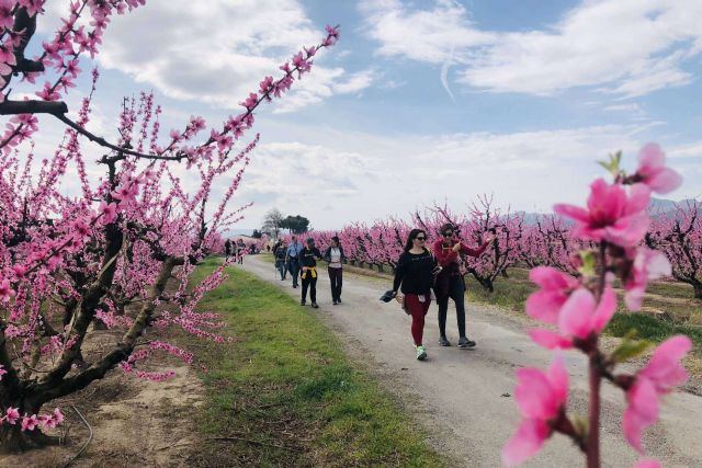 Rutas y talleres florales para disfrutar de la primavera en el Bajo/Baix Cinca - 1, Foto 1