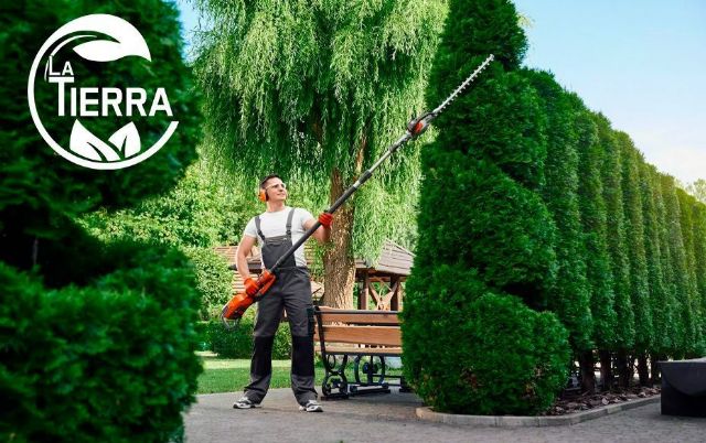 La Tierra Jardinería: Cuidando la salud de los árboles con servicios especializados - 1, Foto 1