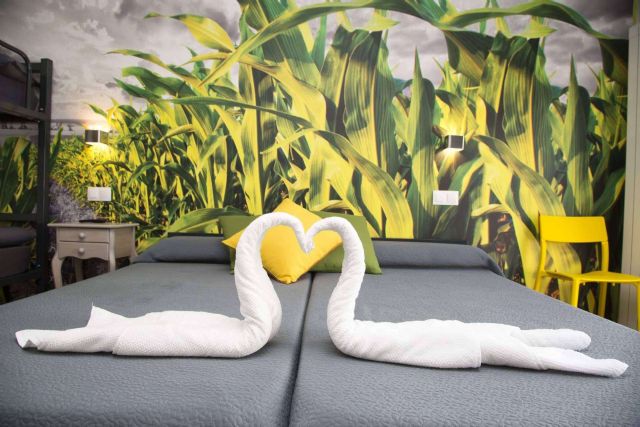 San Marcos; Un oasis de descanso para los peregrinos en Palas de Rei - 1, Foto 1