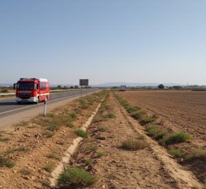 Accidente de tráfico en Balsapintada, Fuente Álamo - 1, Foto 1