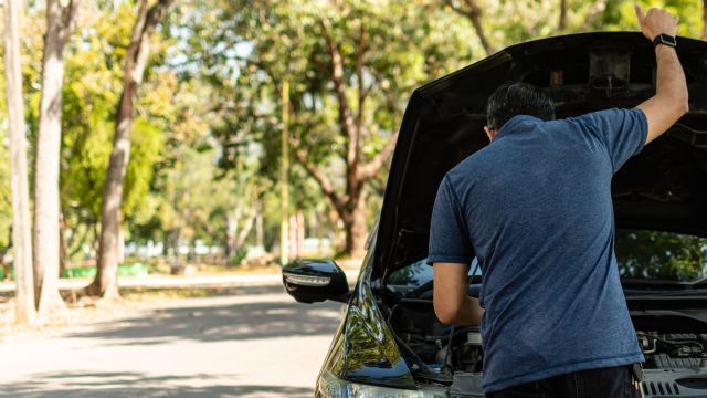 El 85% de los asegurados valora alternativas de movilidad más allá del coche de sustitución, según ICEA - 1, Foto 1