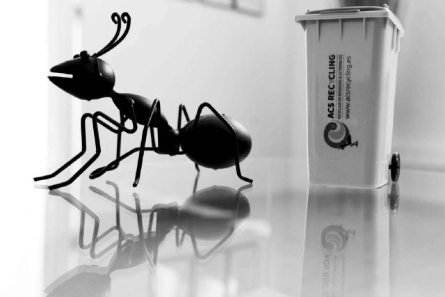 La gestión responsable de RAEE como clave para proteger la biodiversidad terrestre y mejorar la eficiencia energética - 1, Foto 1