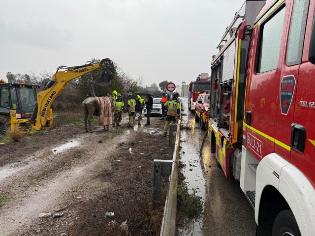 Bomberos rescatan a un caballo atrapado en un barrizal en Alguazas - 1, Foto 1