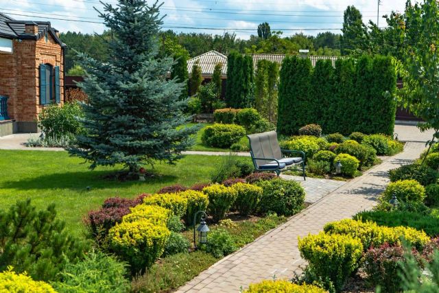 Mantenimiento de jardines en Barcelona; Cuidado y belleza todo el año - 1, Foto 1