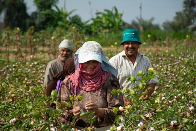 Oikocredit convierte el desierto egipcio en tierra fértil con proyectos de agua y agricultura sostenible - 1, Foto 1