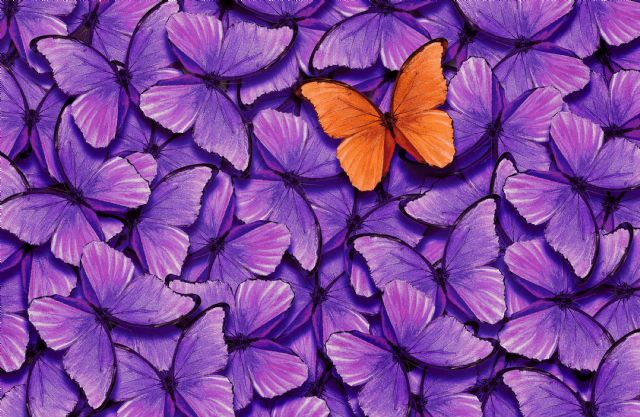 EXTE: 3 claves para captar la atención en un entorno publicitario saturado de contenido - 1, Foto 1