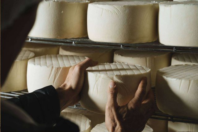 Una selección destacada de quesos de Navarra en Kamiku - 1, Foto 1