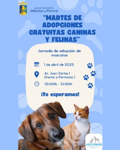 Campaa gratuita de adopciones, Foto 1