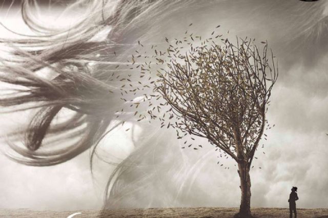 Vientos olvidados, de Mari Paz Gallego, nominada en los International Latino Books Awards 2025 - 1, Foto 1