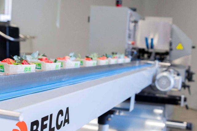 Envasado flow-pack; Garantía en la distribución de productos hortofrutícolas - 1, Foto 1