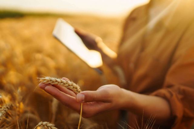 El SEPE contrata a Mainjobs la capacitación digital de más de 18.000 personas del ámbito rural - 1, Foto 1