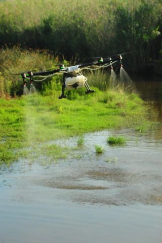 Es tiempo de activar los programas de control vectorial anticipados para la prevención y el control de mosquitos por parte de las administraciones - 1, Foto 1