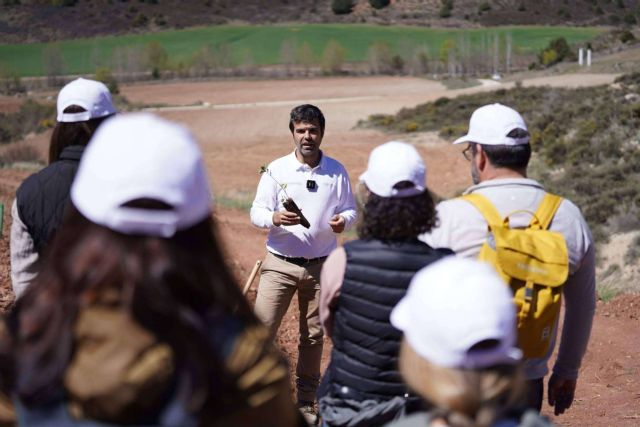 CO2 GESTIÓN ayuda a empresas a obtener el triple sello del MITERD mediante proyectos de absorción de carbono - 1, Foto 1