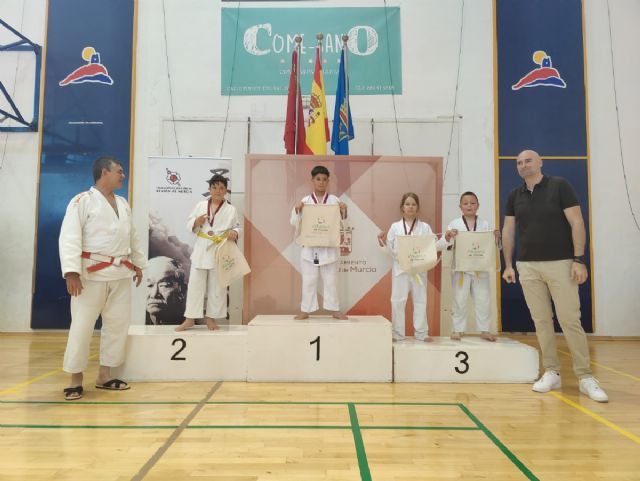 El judo vuelve a ser protagonista en las fiestas de Los Mayos, Foto 1
