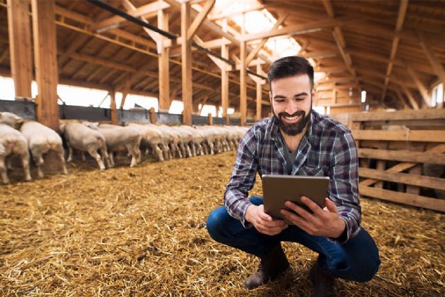 Correduría de Seguros Pueyo destaca la importancia del Seguro Agropecuario para proteger los cultivos este verano - 1, Foto 1