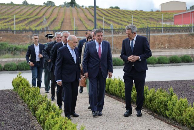 Planas destaca que el sector del vino tiene una gran oportunidad con Mercosur - 1, Foto 1