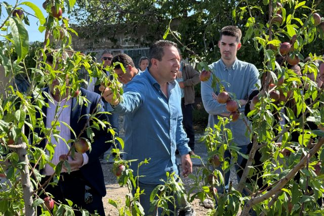 Visita al campo de Yéchar tras la granizada que ha afectado al campo muleño - 1, Foto 1