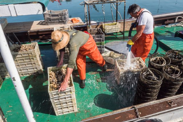 El 60% de los menores no acompañados están afiliados a la Seguridad Social y forman parte de los tres millones de afiliados extranjeros - 1, Foto 1