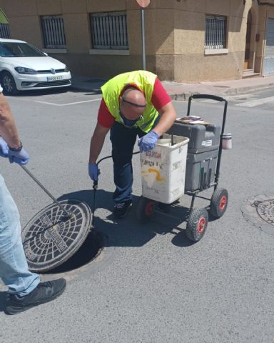 Mula refuerza los trabajos de desinfección y control de plagas - 1, Foto 1