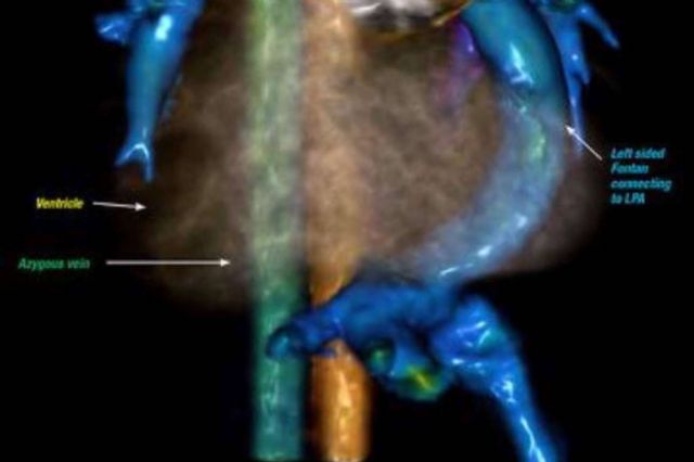 Radiodiagnóstico con nombre propio; la experiencia de la Dra. Claudia Martínez Higueros - 1, Foto 1