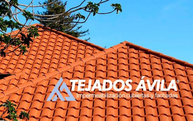 La solución definitiva para las goteras, por Tejados Ávila - 1, Foto 1